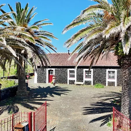 Adega Ti Balanca Holiday home *