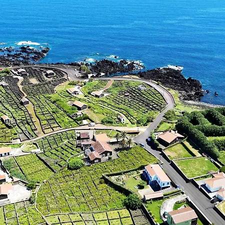 Adega Ti Balanca Holiday home